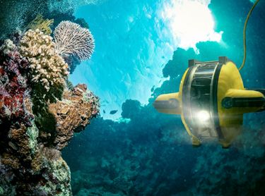 ROV Kablo Pazarına İlişkin Genel Rapor ve Değerlendirme